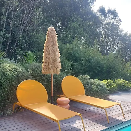 Villa D'architecte Piscine Privee Eccica-Suarella (Corsica)
